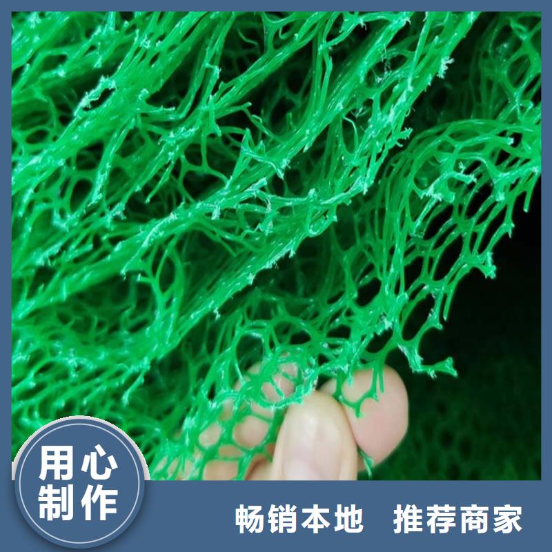 【三维植被网】紫铜止水片当地厂家值得信赖