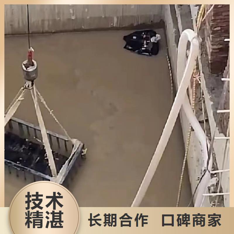 水下维修本地潜水搜索团队知名公司