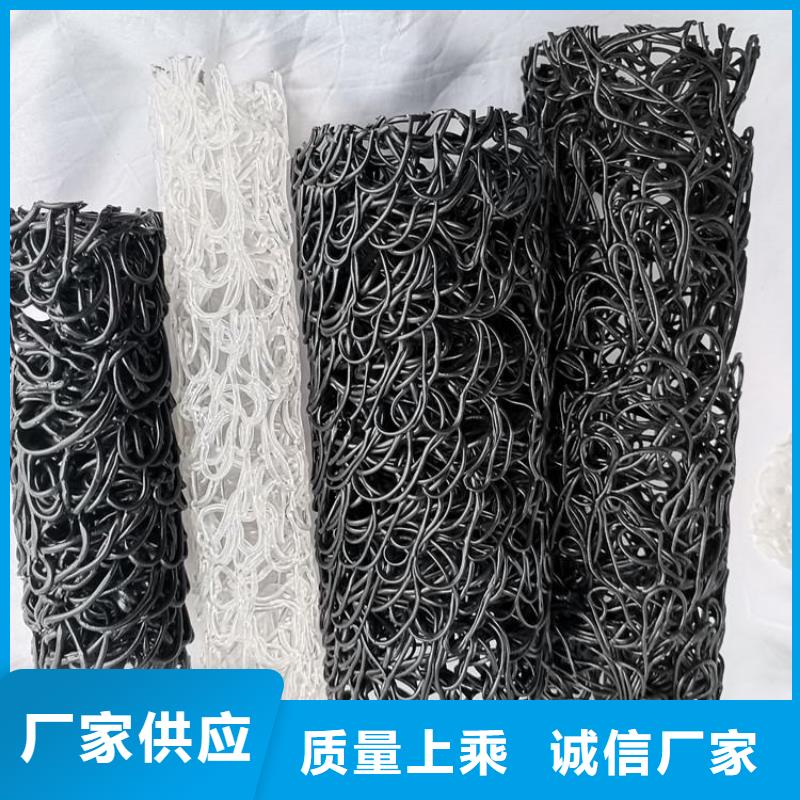 塑料盲沟-土工膜买的放心安兴用的舒心