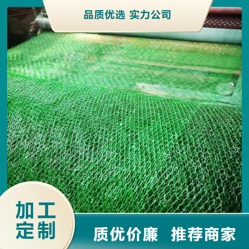 三维植被网软式透水管可定制