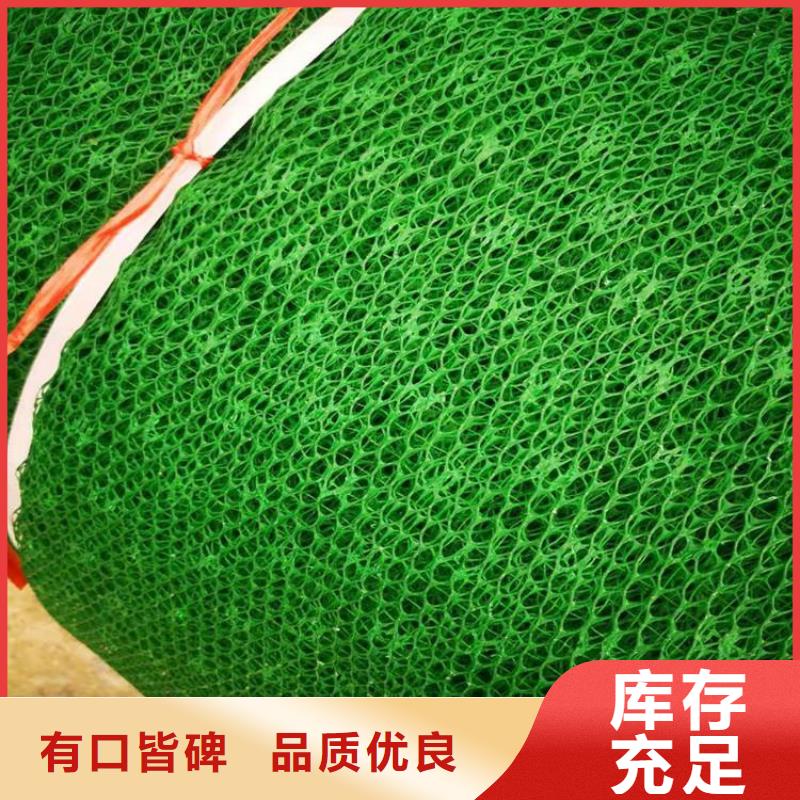 三维植被网拉筋带定制速度快工期短
