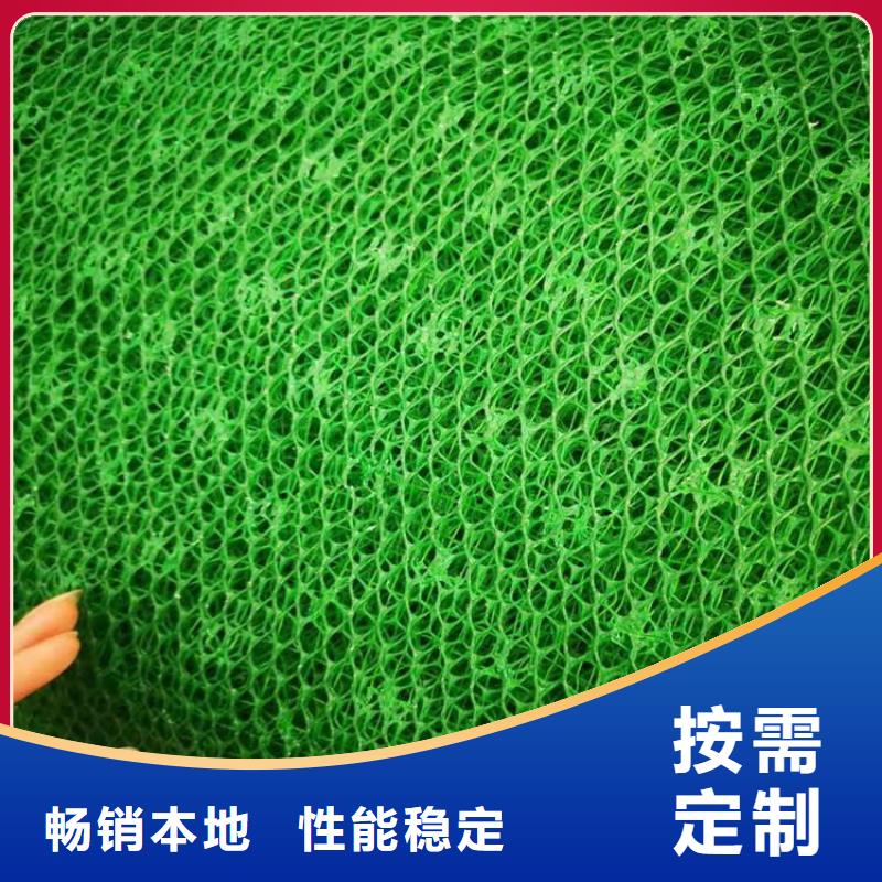 三维植被网土工格栅生产型