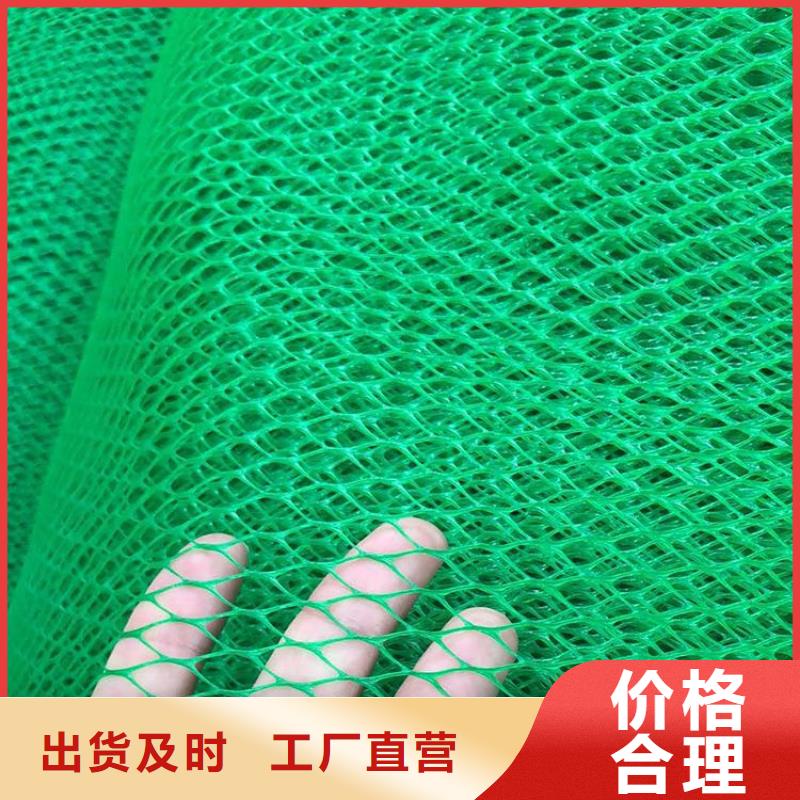【三维植被网HDPE土工膜严格把关质量放心】