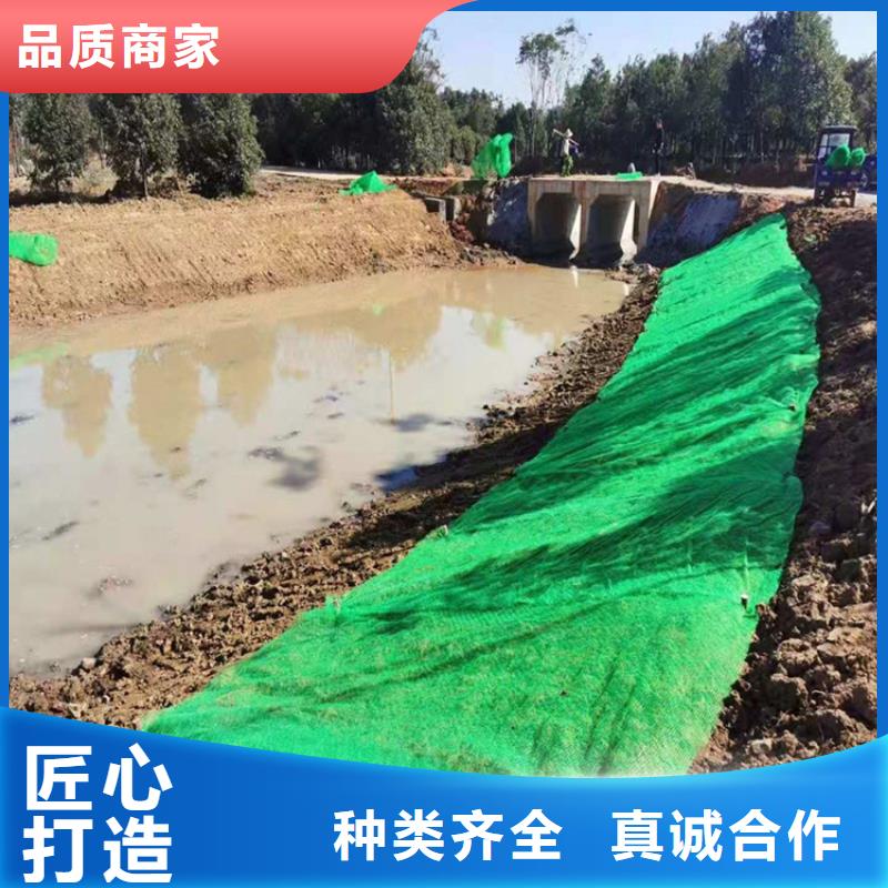 三维植被网土工格栅用途广泛