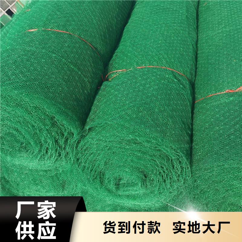 三维植被网拉筋带定制速度快工期短