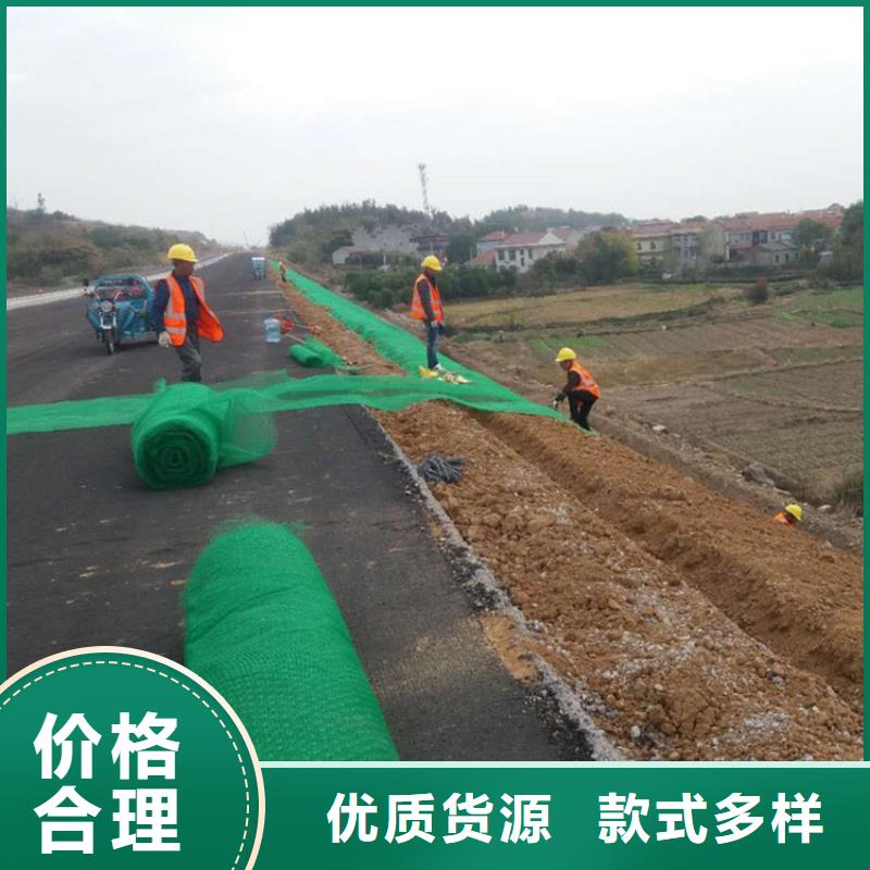 三维植被网,土工格栅高品质诚信厂家