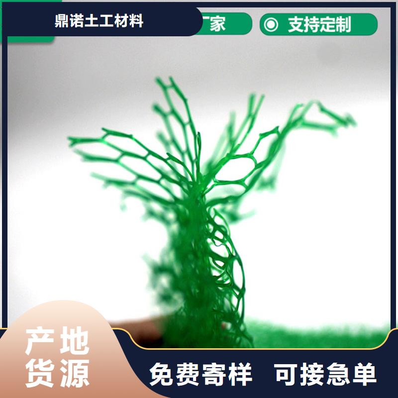 三维植被网矿用格栅现货销售