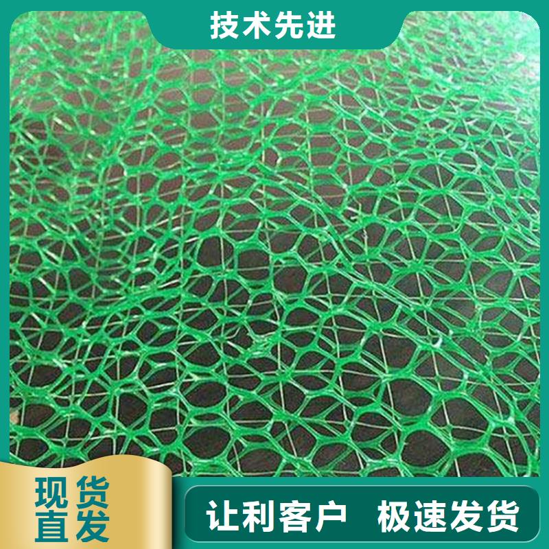 三维植被网防渗膜颜色尺寸款式定制