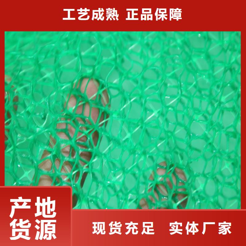 三维植被网防渗膜颜色尺寸款式定制