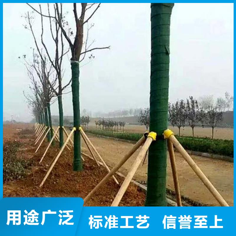 裹树布土工布精品选购