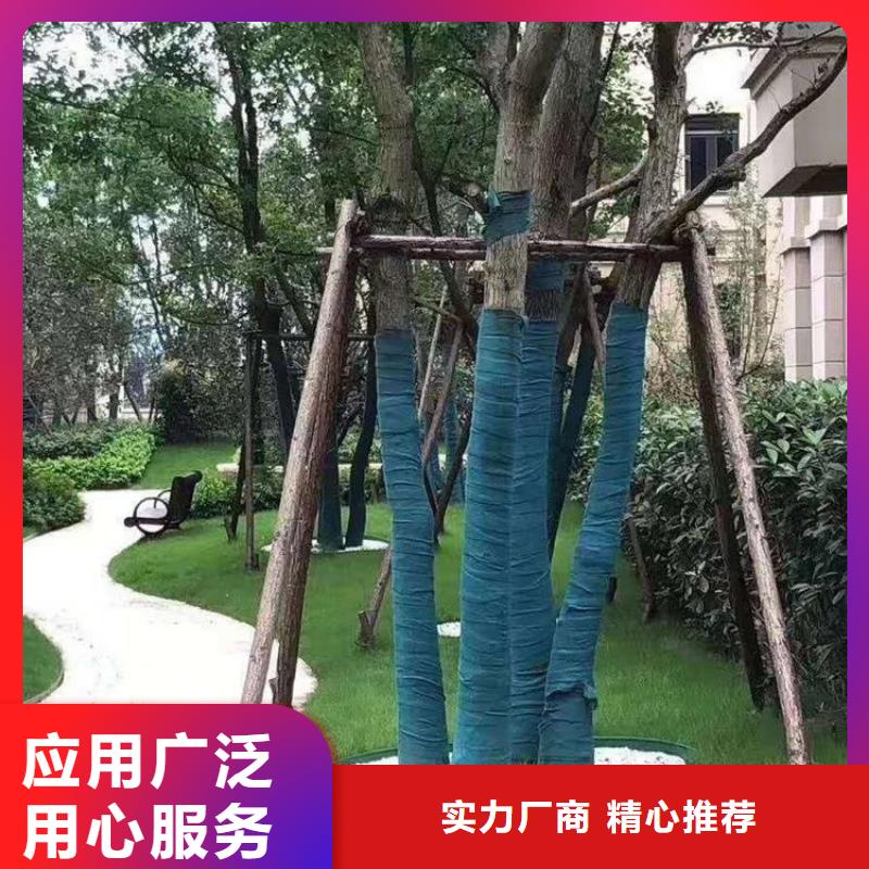 裹树布【双向土工格栅】好货采购