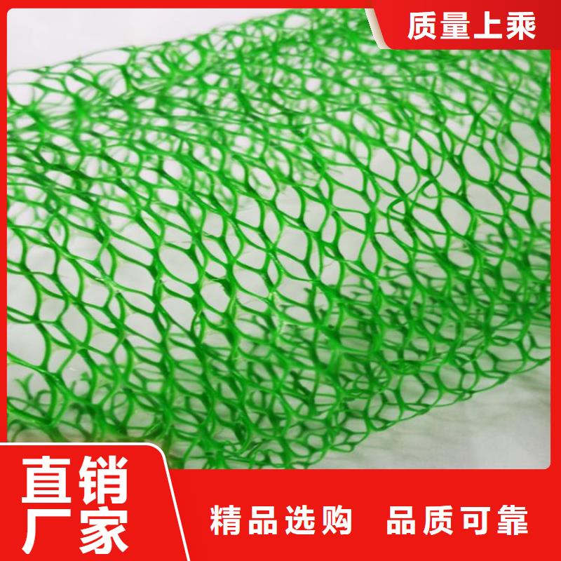 三维植被网玻纤格栅质检严格