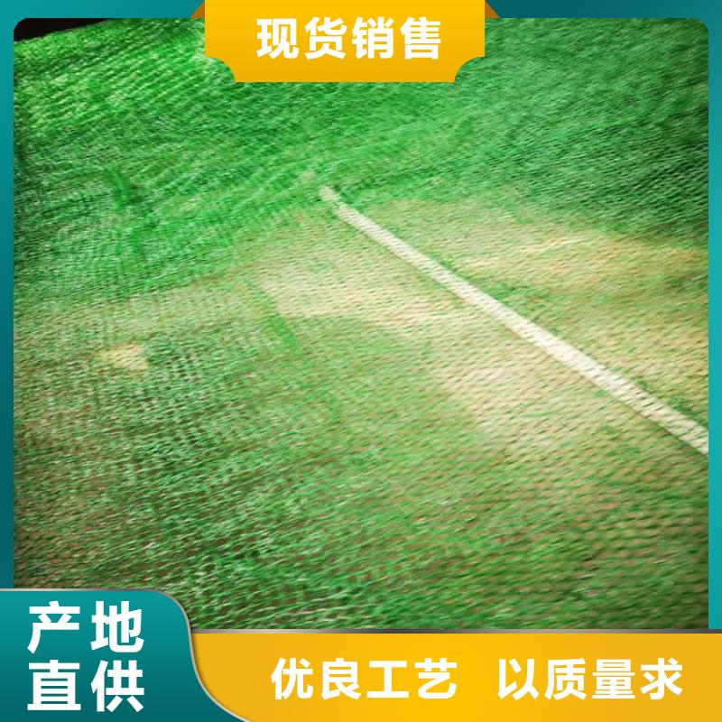 三维植被网涤纶格栅定制销售售后为一体