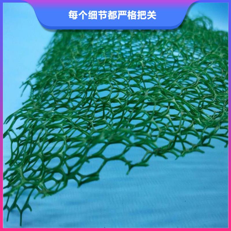 三维植被网_玻璃纤维土工格栅源头厂家供应