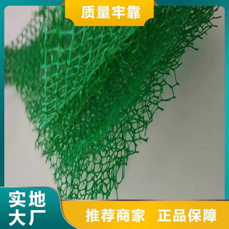 三维植被网【防水毯】厂家工艺先进