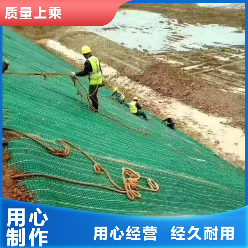 【椰丝毯】双向土工格栅定制速度快工期短