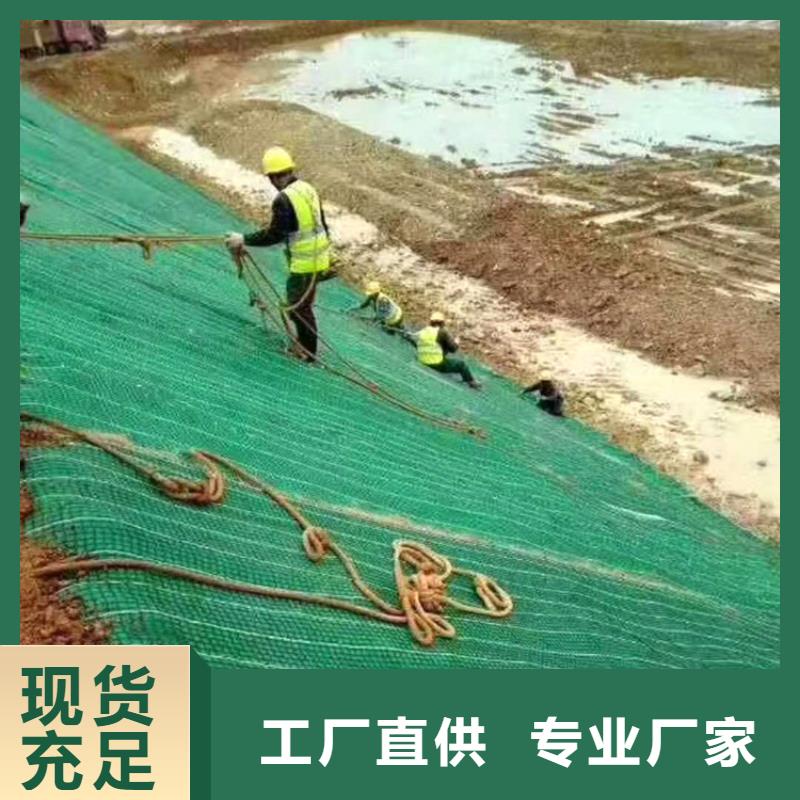 【椰丝毯_土工膜生产加工】