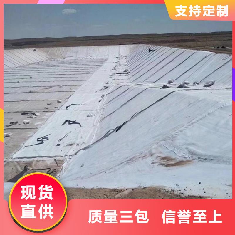 膨润土防水毯土工膜支持大小批量采购