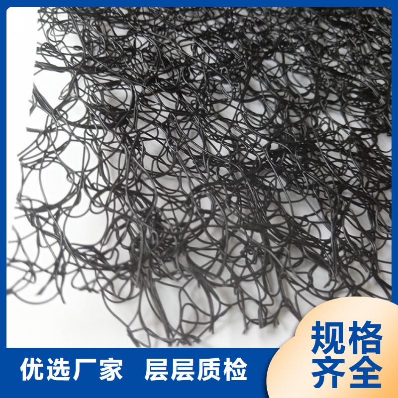 通风降噪丝网-土工格栅厂家规格全