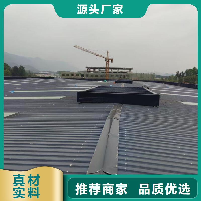 10型通风天窗（开敞式横向天窗）侧立面图