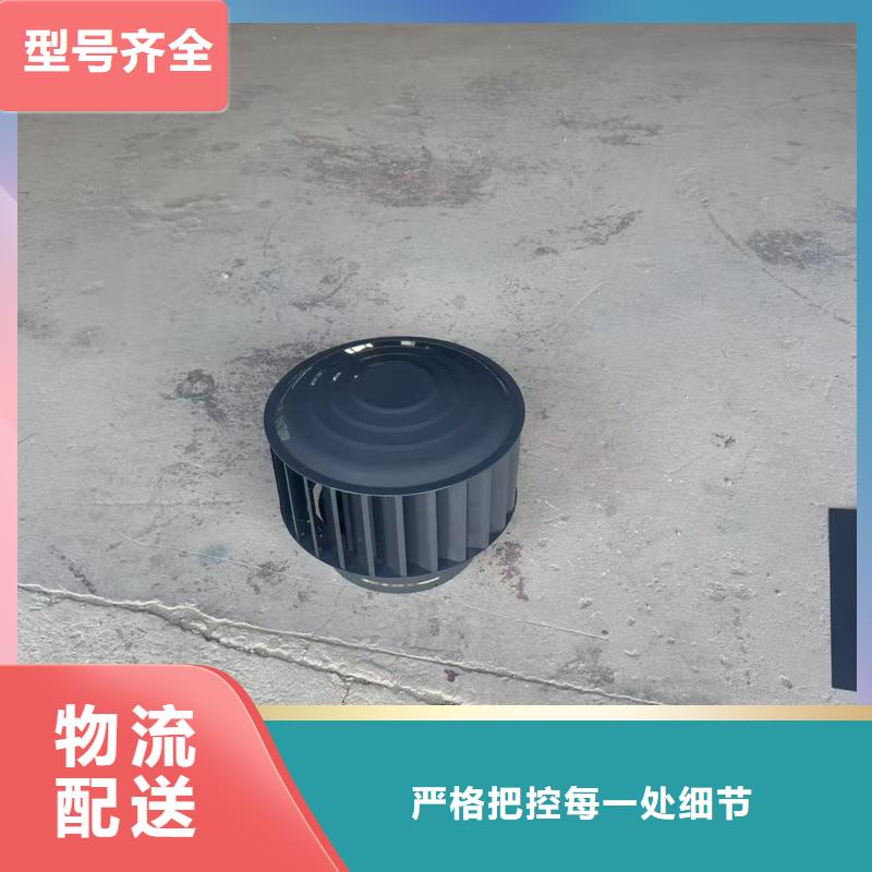 自力式风帽实力厂家