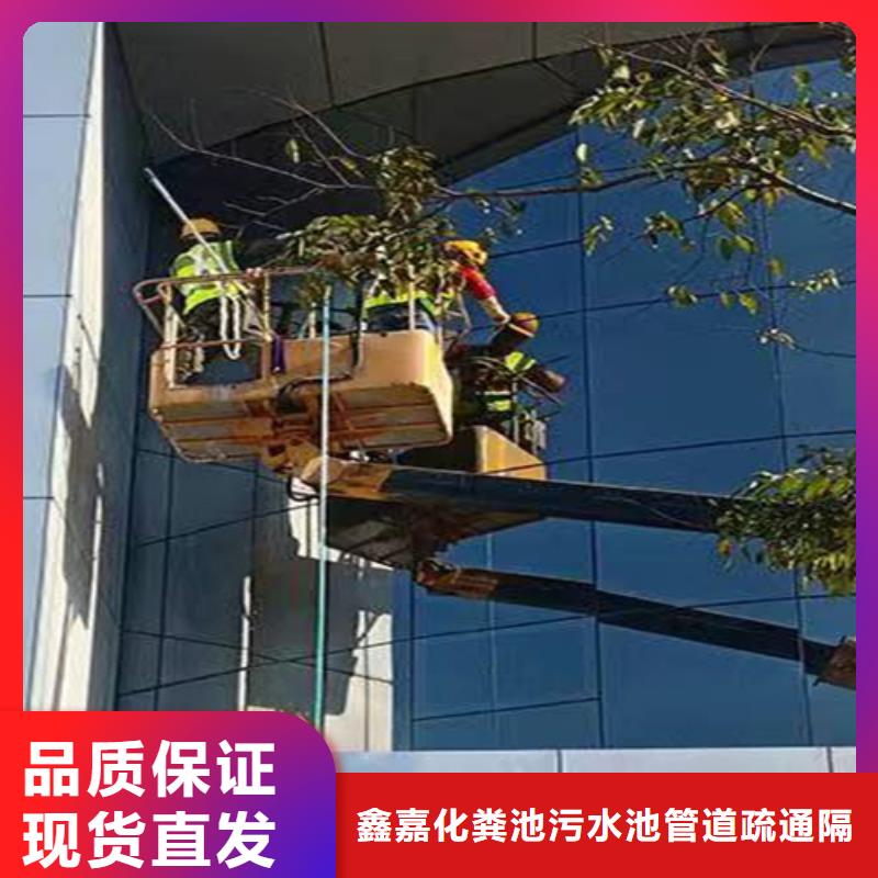 外墙清洗害虫防治欢迎新老客户垂询