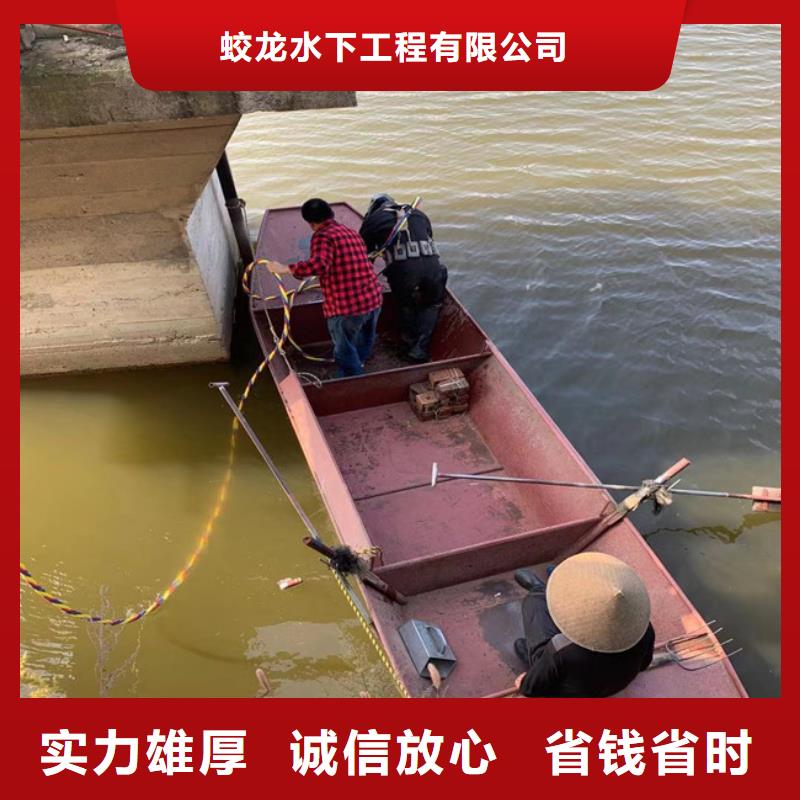 蛙人服务公司厂家/欢迎致电