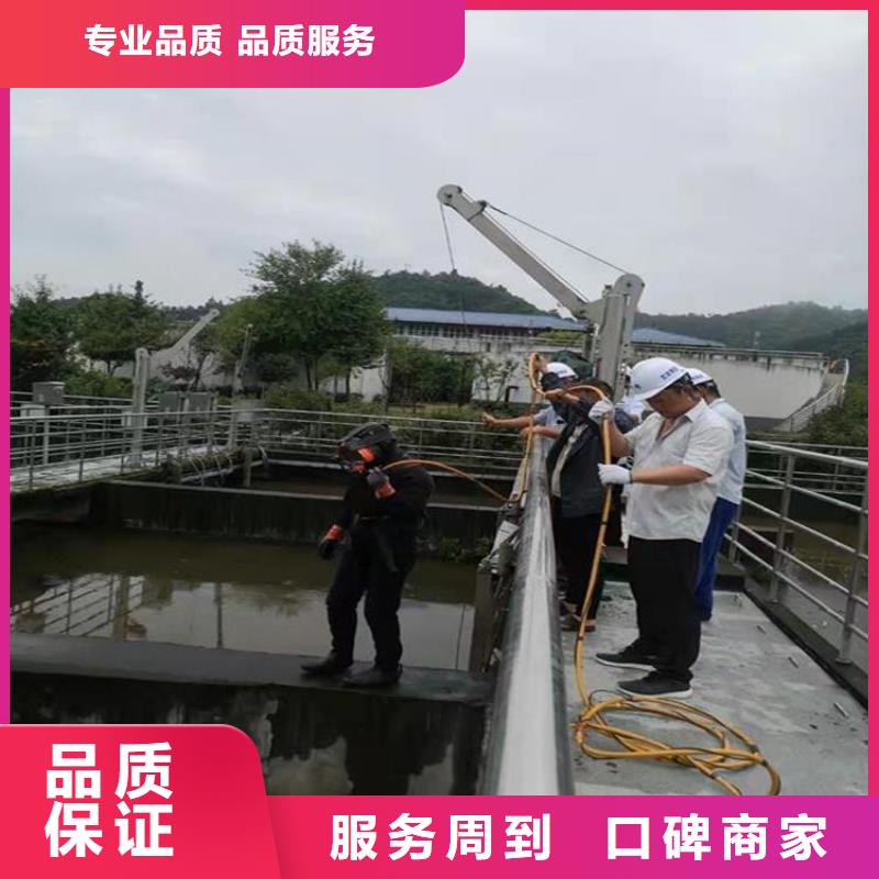 电厂闸门水下维修检查公司批发零售