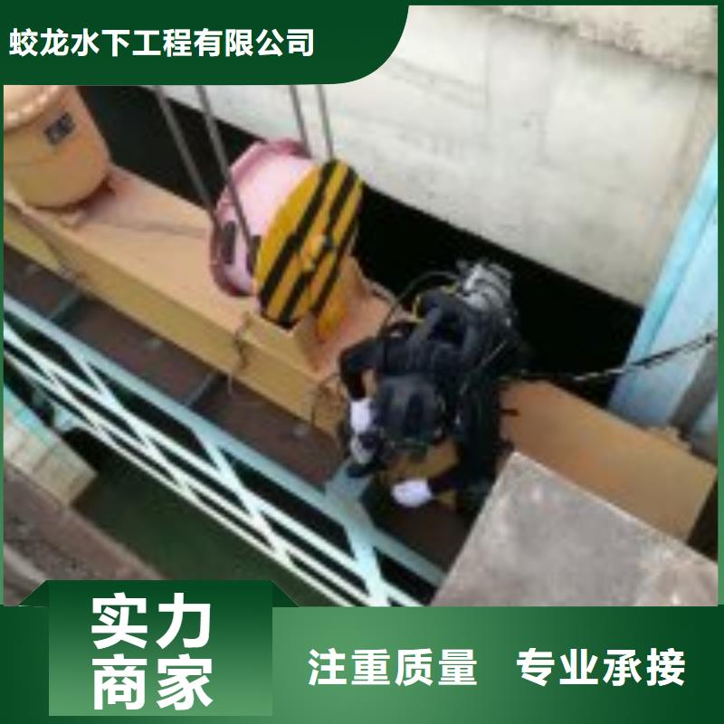 潜水员服务公司【本地施工队】