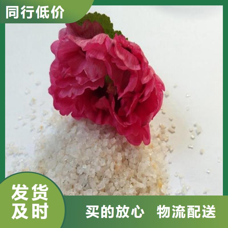 石英砂-【聚丙烯酰胺】我们更专业