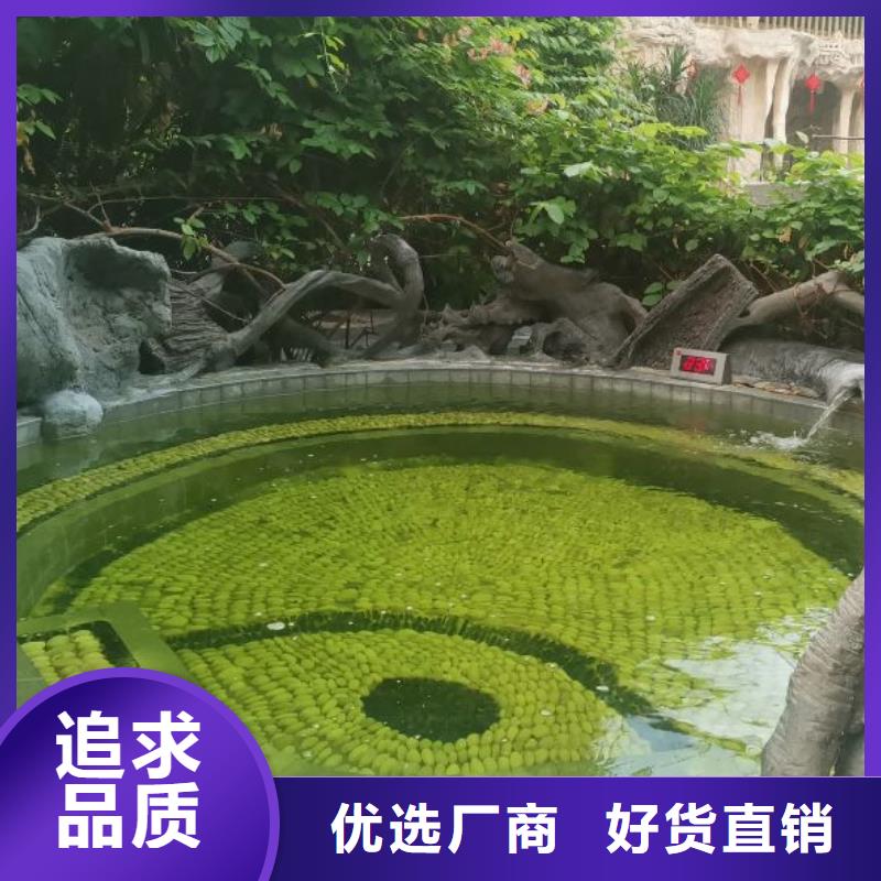 泳池温泉水处理净水机组视频-泳池温泉水处理净水机组|黑龙江省牡丹江市|爱民|绥芬河|佳木斯|绥化|黑河|鹤岗