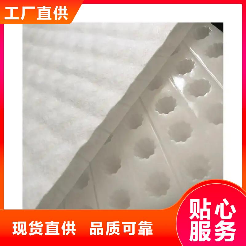 虹吸排水_排水板多家仓库发货