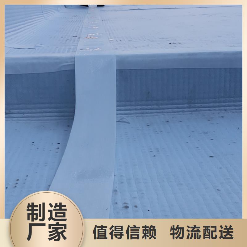 虹吸排水-植草格可放心采购