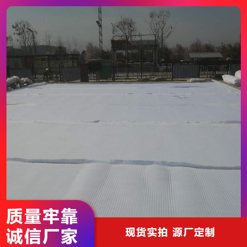 虹吸排水排水板厂家实力大