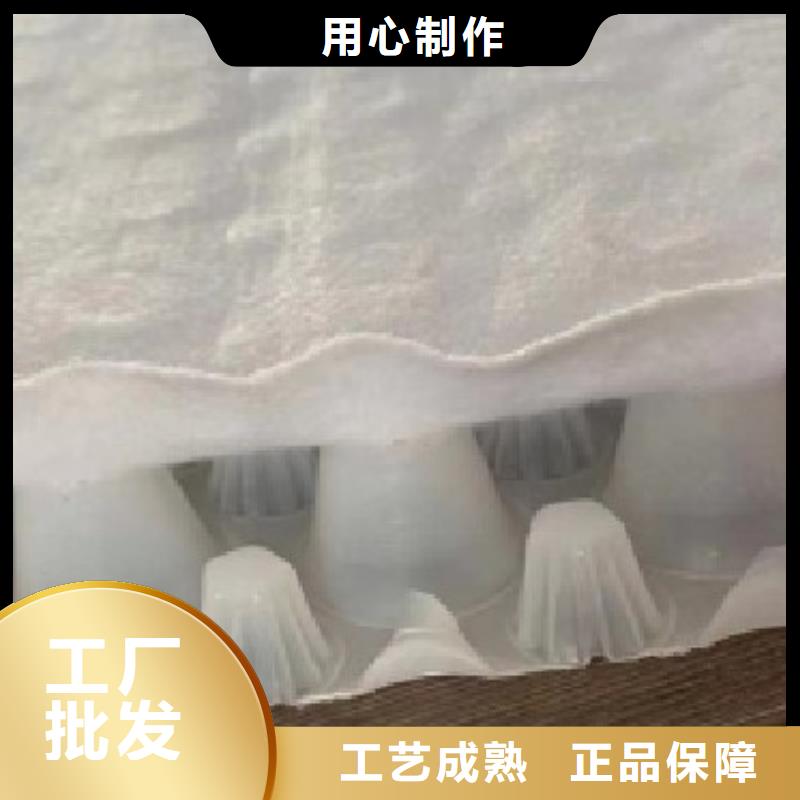 虹吸排水植草格用心做产品