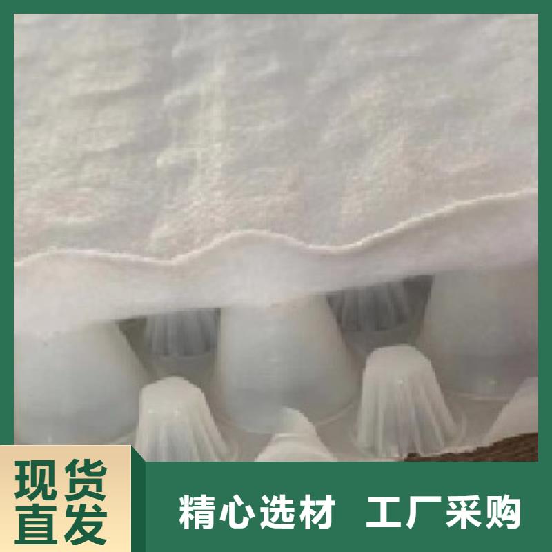 虹吸排水排水板规格齐全