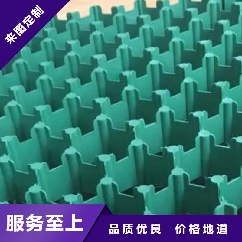 植草格植草格的图文介绍