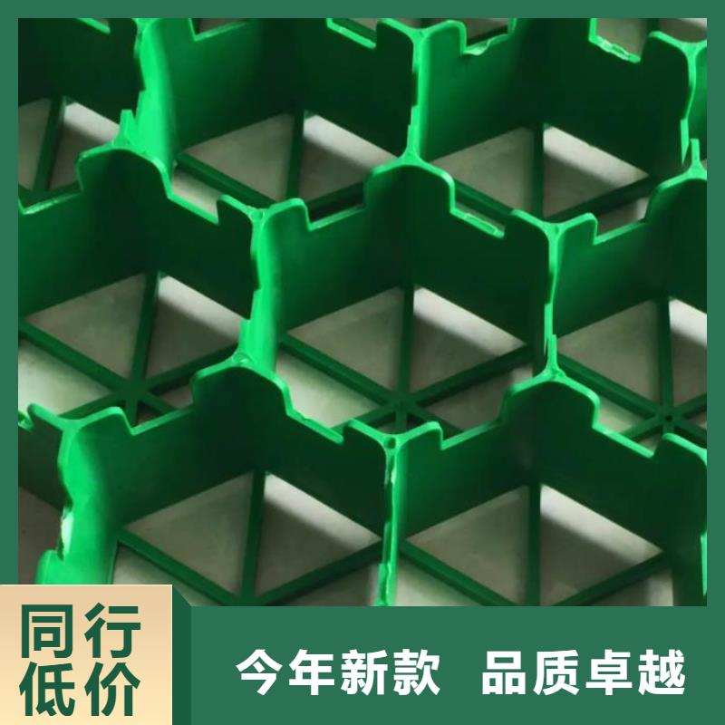 植草格_排水板厂家品控严格
