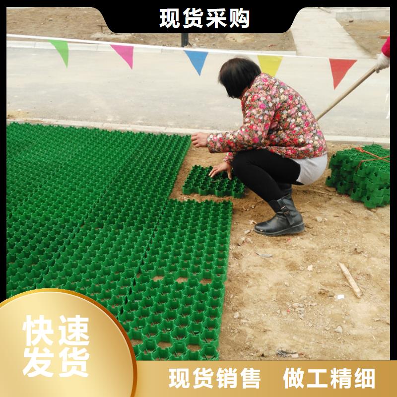 植草格水泥化粪池品质优选