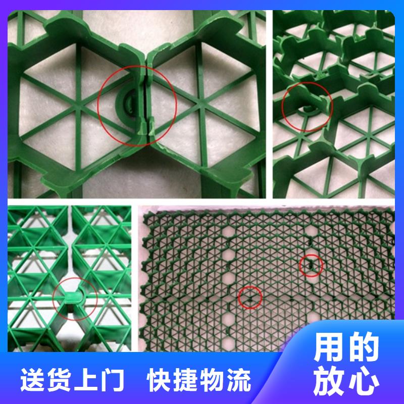 【植草格植草格源头实体厂商】