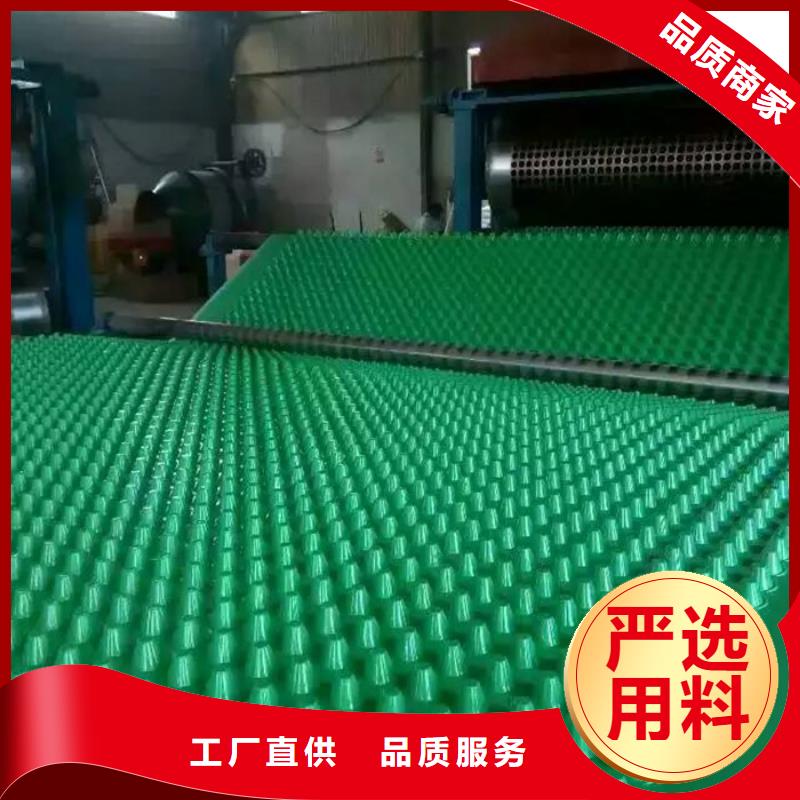 塑料排水板【排水板】一站式供应厂家 朋联工程材料(大庆市分公司)