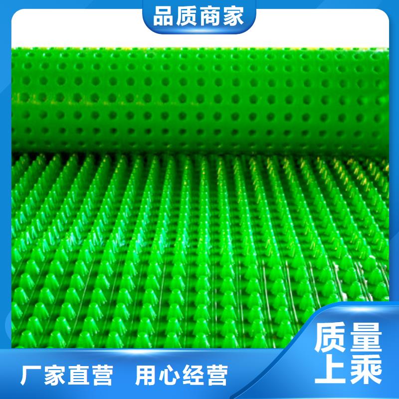 【朋联】塑料排水板 【 植草格】品质商家81940.com