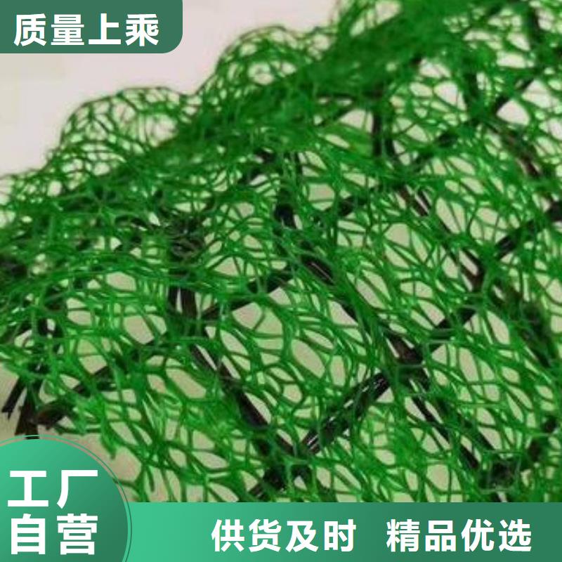 三维植被网水泥化粪池一站式服务