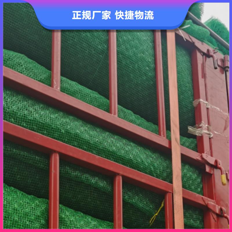 【三维植被网】植草格好品质经得住考验