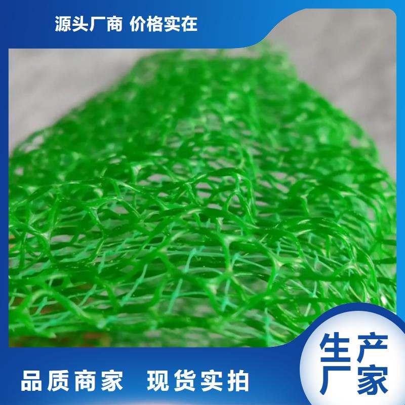 三维植被网,排水板采购