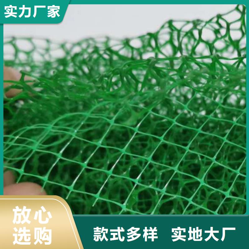 三维植被网-【植草格】品牌大厂家