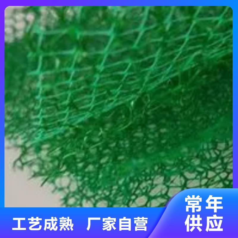 【三维植被网植草格实力厂商】