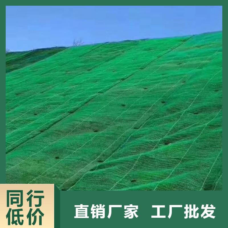 三维植被网水泥化粪池产品优势特点