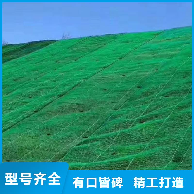 三维植被网【植草格】支持定制贴心售后