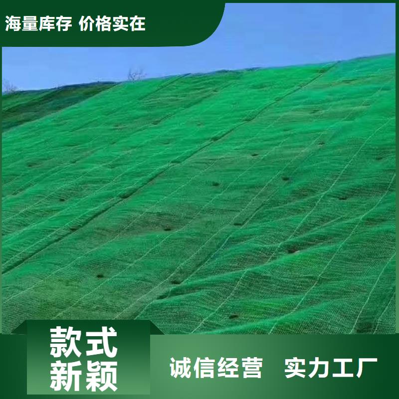 三维植被网水泥化粪池专注品质